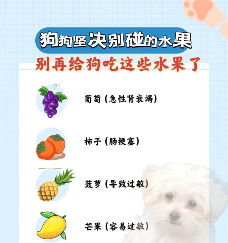 幼犬的饮食需求（了解幼犬的饮食需求和合适的奶类选择）