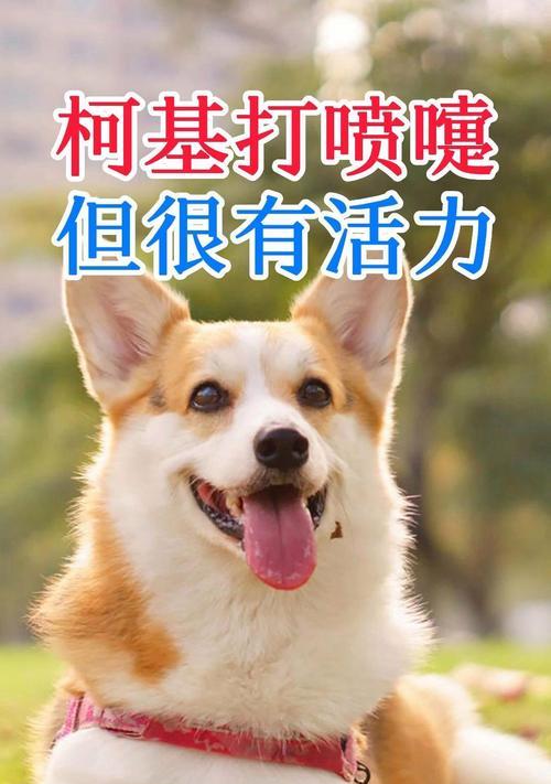 小狗为什么会打喷嚏？（探究小狗打喷嚏的原因及其影响）