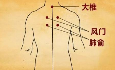 深入了解以伤风是什么症状（揭开以伤风的面纱，探讨病症特征和治疗方法）