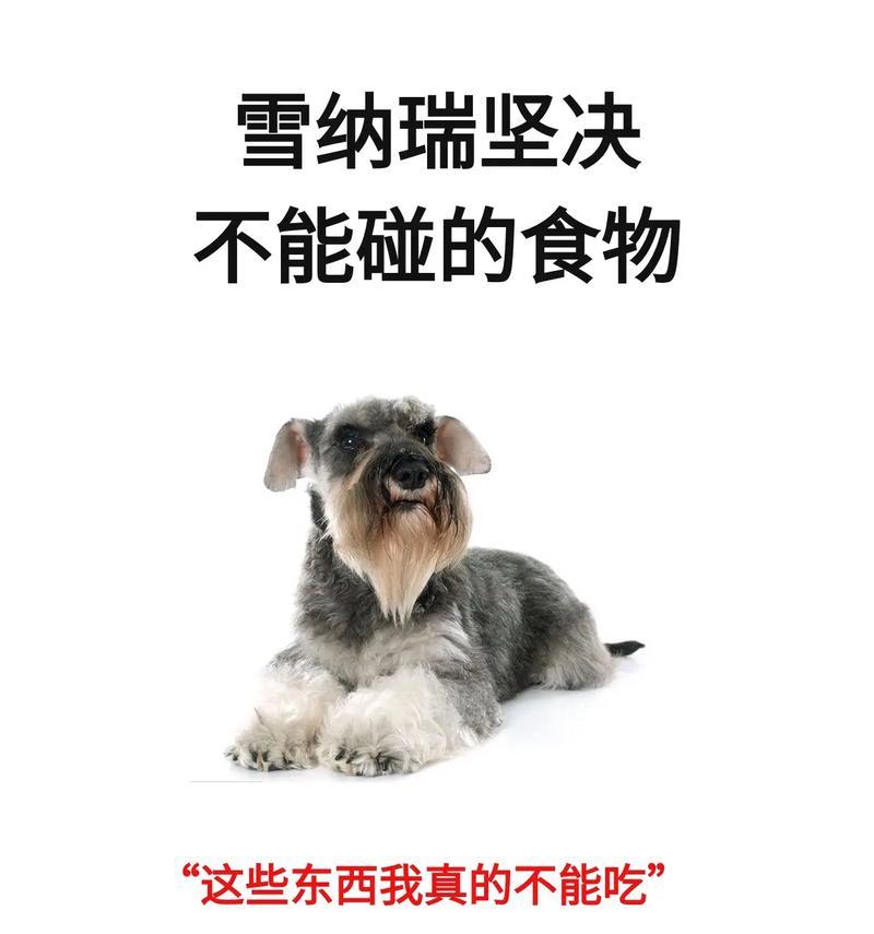 雪纳瑞宝宝的健康饮食指南（让它健康成长的关键是什么？）