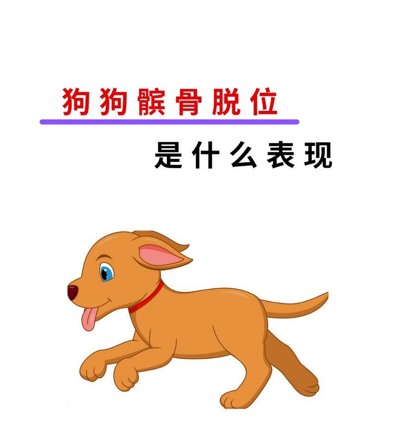 狗的髌骨问题及预防（解析狗为什么容易出现髌骨问题）