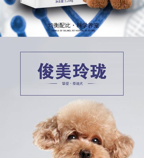 如何选择适合泰迪的优质狗粮（探索泰迪最佳狗粮品牌，确保健康与活力）