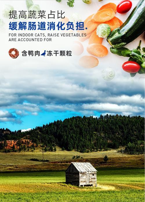 怀孕母猫的蔬菜饮食需求（满足母猫健康需求的蔬菜种类和注意事项）