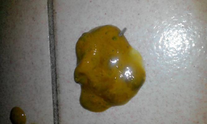 泰迪的大便习惯及注意事项（了解泰迪的排便规律，为它的健康着想）
