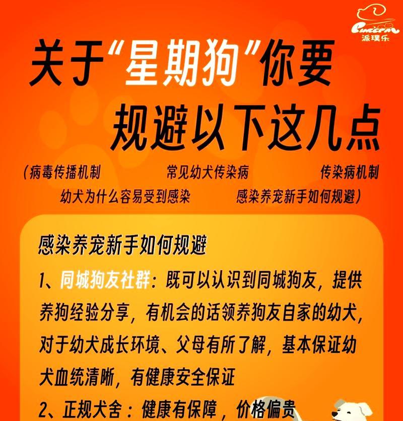 如何合理养狗以确保宠物健康幸福（养狗必知的关键要素及注意事项）