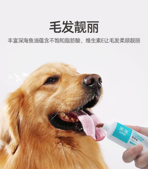 给狗狗选择营养膏的重要性（为宠物犬选择合适的营养膏，保障其健康和幸福）