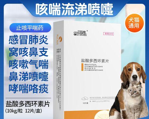 宠物狗感冒的治疗方法（如何帮助宠物狗摆脱感冒困扰）