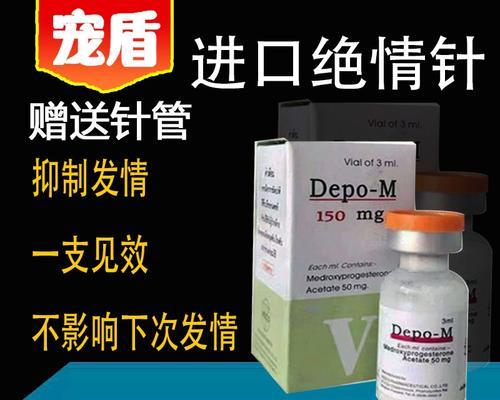 狗狗避孕药的必要性与选择（为你的爱犬选择最适合的避孕药）