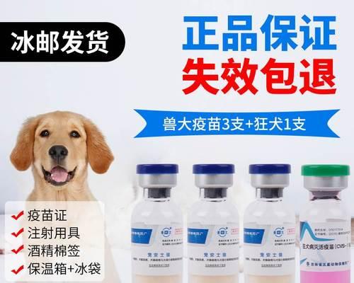 满月狗狗打疫苗需要了解的一切（疫苗种类、价格和养护注意事项一览）