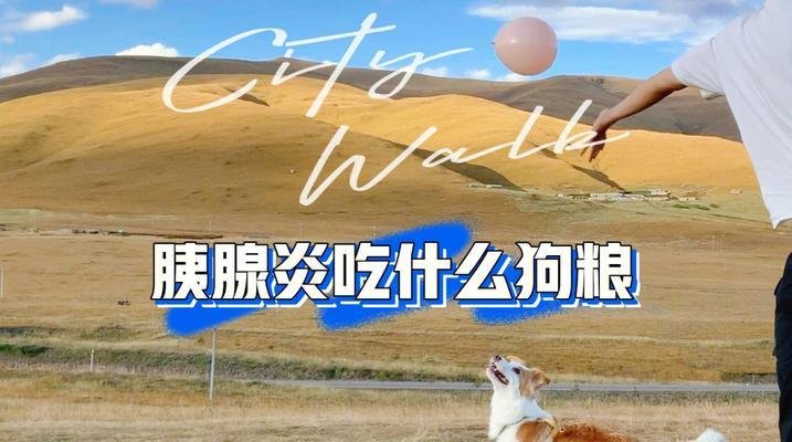 如何为狗狗选择适合的食物帮助其拉肚子恢复健康