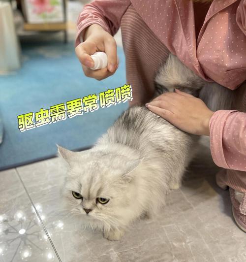 八哥犬驱虫时间与方法（科学合理的八哥犬驱虫计划，让您的爱犬健康无虞）