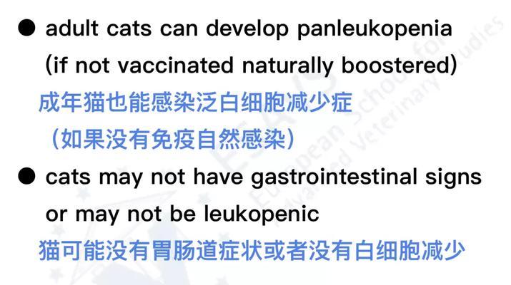 猫白血球高的原因及处理方法（探究猫白血球高的多种原因和相应处理方法）