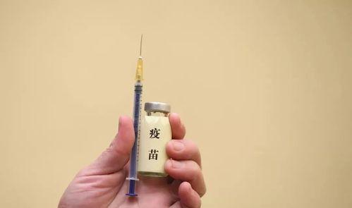了解狗狗七联疫苗的重要性（保护狗狗健康，远离疾病的必备措施）