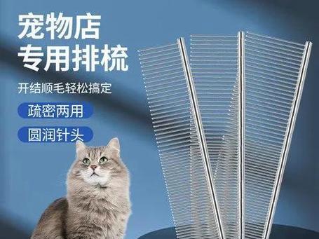 布偶猫的梳毛技巧与工具选择（为布偶猫定制的梳毛神器，让毛茸茸的小家伙更舒适）