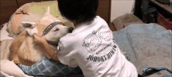 为什么狗会不走（探究狗不愿意外出散步的原因及解决方法）