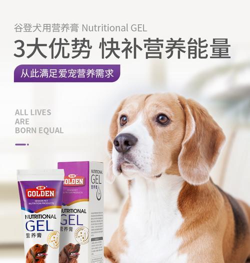 狗狗肠胃问题的治疗方法及针剂介绍（狗狗健康必知，解析肠胃问题治疗的关键针剂）