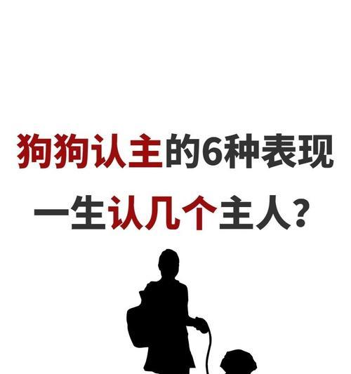 巨型犬中最忠诚的伴侣——圣伯纳犬（真诚无私的陪伴，你值得拥有）