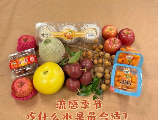 预防狗狗流感，科学饮食保健更重要！（了解狗狗流感防护与饮食，）