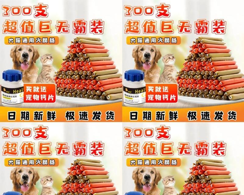 泰迪狗的饮食搭配指南（打造健康活力的泰迪宝宝，从选择适合的狗粮开始）