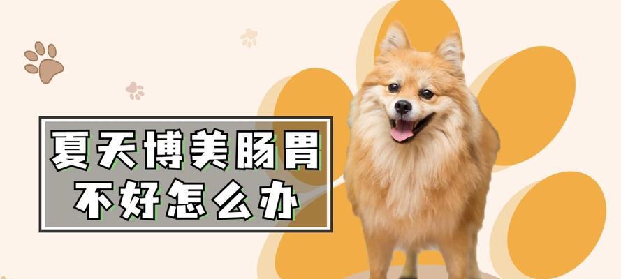 夏天养护博美，享受清凉夏日（宠物博美夏季关怀指南）