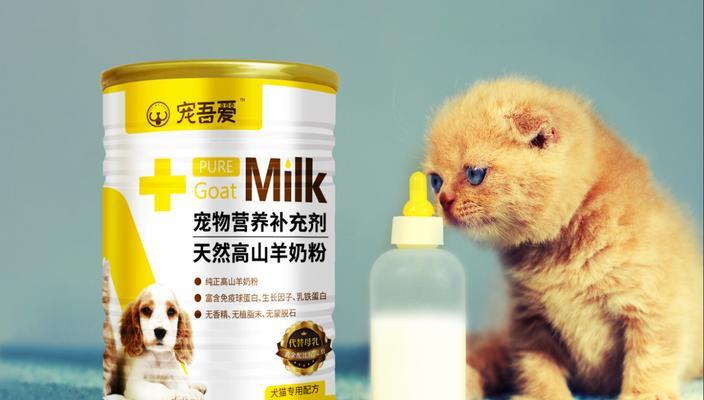 狮子猫的饮食（了解狮子猫的饮食需求以及如何选择合适的猫粮）