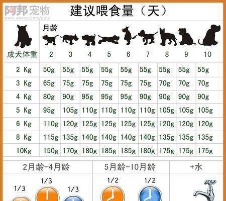 格力犬的最佳狗粮选择（为您揭秘格力犬饲养中最重要的狗粮选择策略）