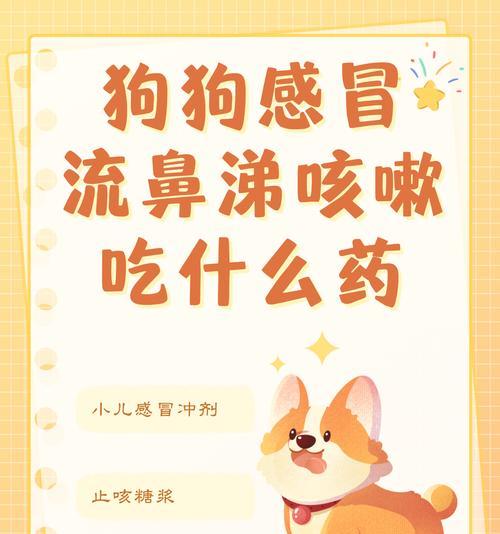 狗狗又吐了怎么办？有效药物治疗是关键（解决宠物呕吐问题的妙招与注意事项）