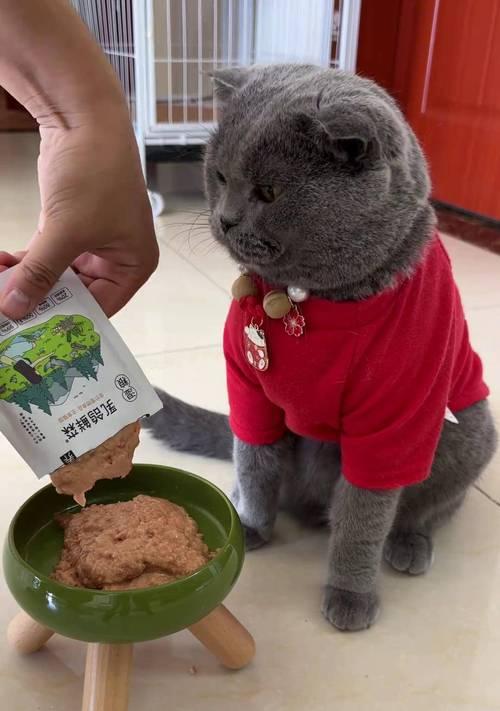 猫的营养需求及补充方法（打造健康营养的猫咪生活）