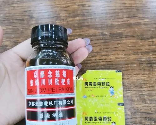 狗狗肺炎的有效治疗方法（探索有效药物治疗狗狗肺炎的关键）