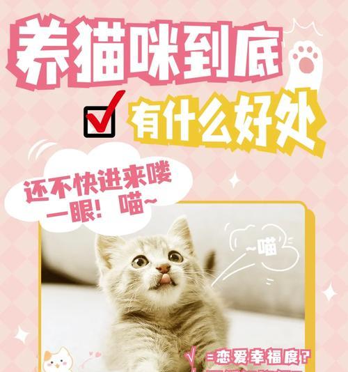 以猫咪买什么好处？（为什么养猫会给生活带来积极影响？）