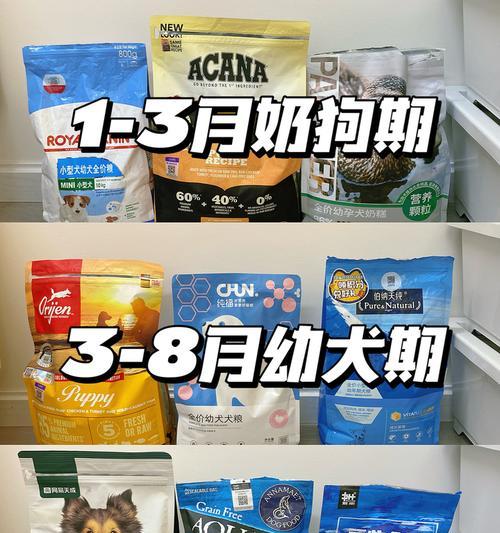 2个月泰迪狗狗吃什么狗粮好？（为你的小狗提供健康营养的饮食）