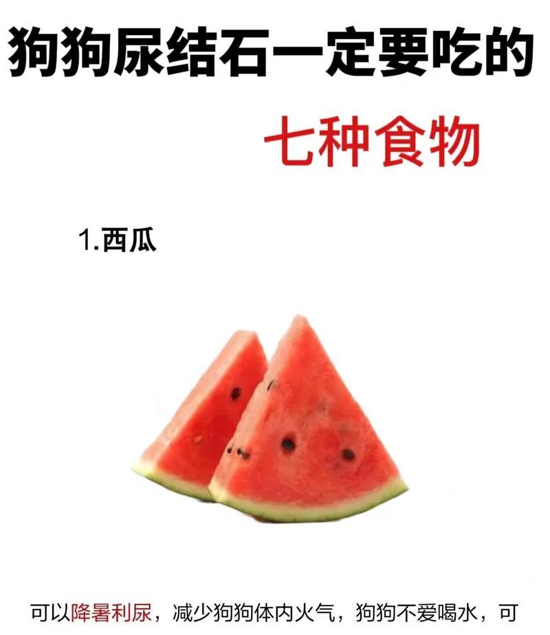 狗狗的饮食需求及适合它们喝的饮品（为你的毛孩提供健康的饮水选择）