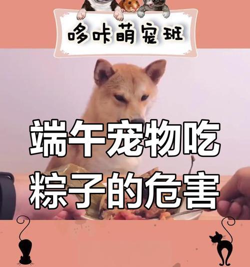 小狗狗的饮食秘籍（小狗狗的饮食健康由我主导，）