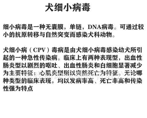幼犬犬瘟和细小的发病原因及预防措施（为什么幼犬容易患犬瘟和细小？如何预防这两种病？）