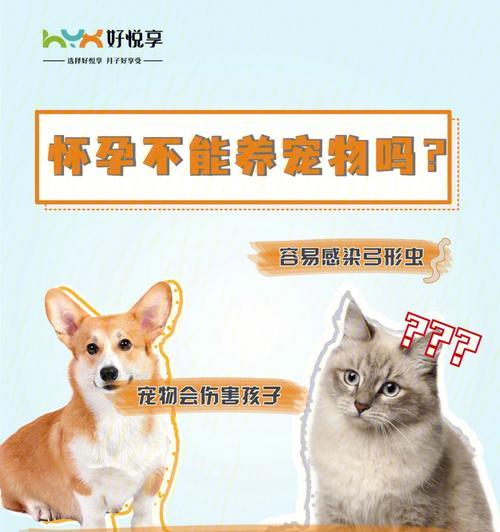 养宠物的益处（探索人与宠物之间的深刻纽带）