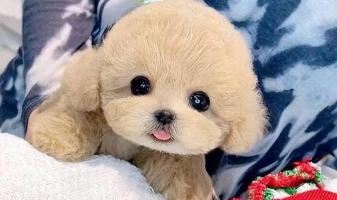 宝宝7个月了，适合吃哪些水果？（水果营养丰富，适合宝宝成长的关键）