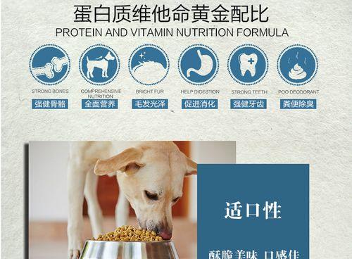 以德牧补维生素，让你更健康（合理饮食，补充营养，迈向健康生活）
