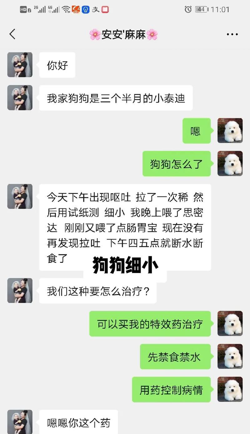 为什么不能用验孕棒来测试狗的怀孕？（探究狗与人类生理差异及验孕棒原理）