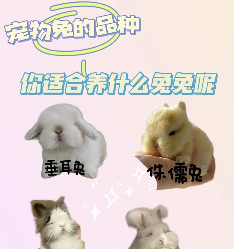 兔子的饲养与饮食（了解兔子的饮食习惯，健康养殖你的宠物）