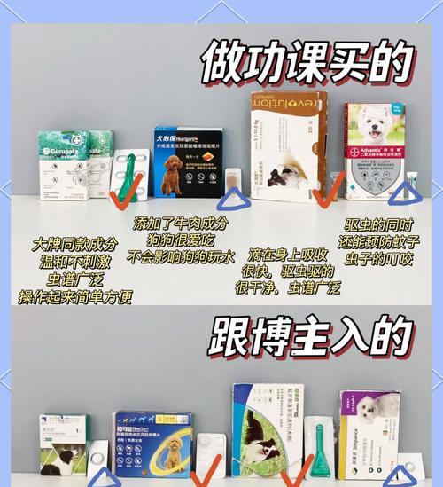 狗驱虫的重要性与方法探究（保护宠物犬健康的必要措施及常见驱虫方法）