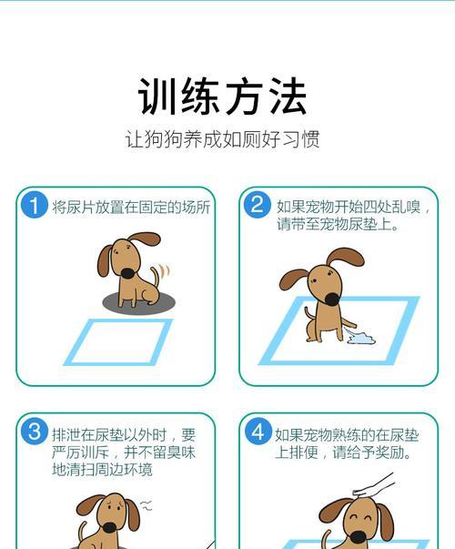 狗狗为什么尿会增加？（探究狗狗尿频的原因与解决方法）