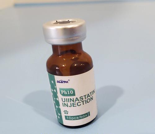 如何缓解狗狗一个月上火问题（掌握正确的饮食调理方法，帮助狗狗恢复健康）