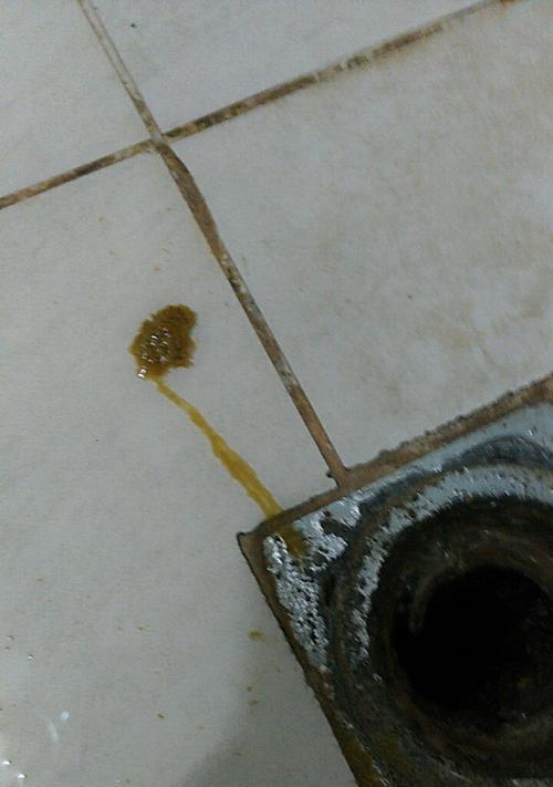小狗拉屎臭的原因与解决方法（探究小狗拉屎臭的原因，提供科学有效的解决方法）
