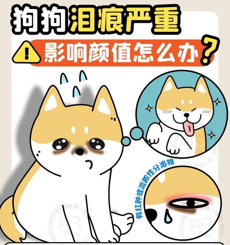 狗狗为什么会掉眼泪？（探究狗狗眼泪背后的原因及处理方法）