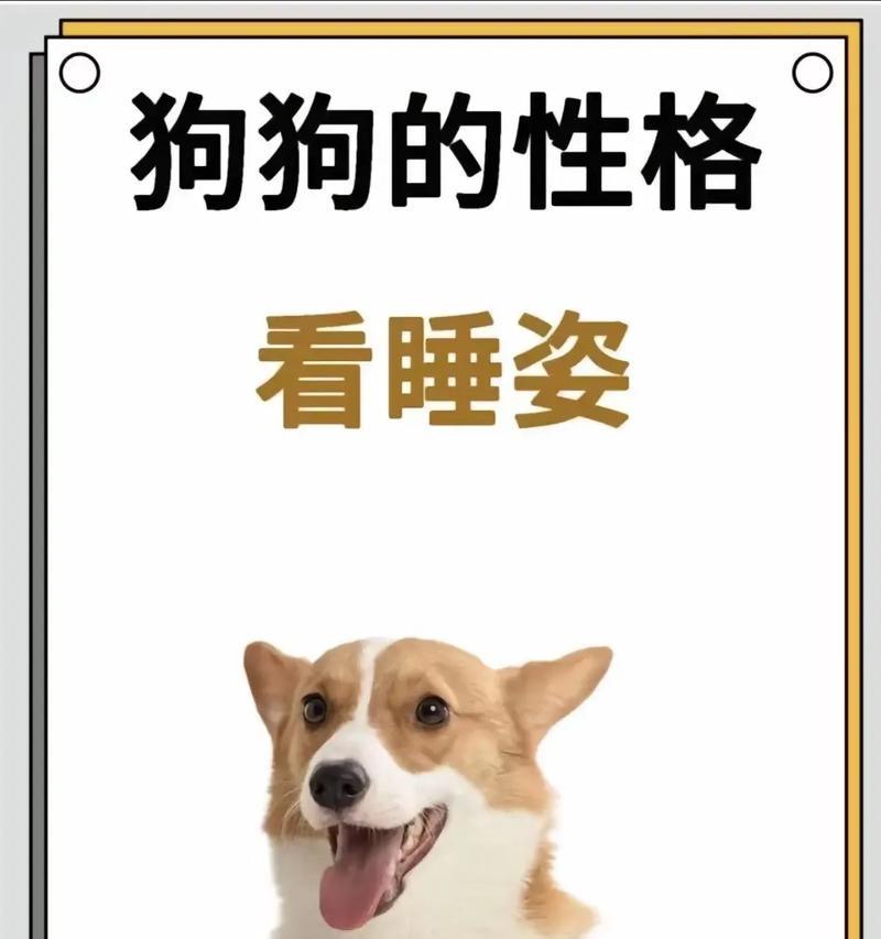 揭示狗的睡姿背后的秘密（探索狗睡姿如何反映它们的情绪和健康状况）