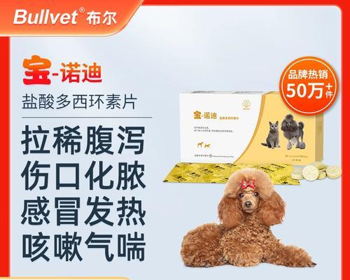 狗狗打喷嚏拉肚子怎么办？药物治疗与护理要点（疾病防治关键）