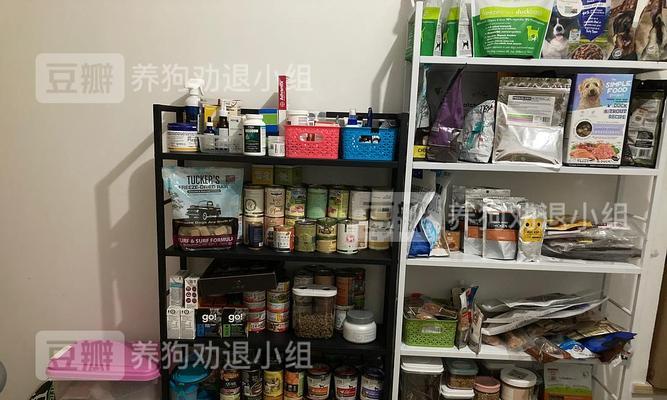 探索狗的先天性心脏病（CHD）（了解狗的心脏健康及预防CHD的关键）
