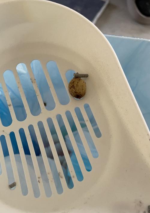 猫的粪便（猫的排泄物是什么样的？如何通过观察粪便检查猫的健康状况）