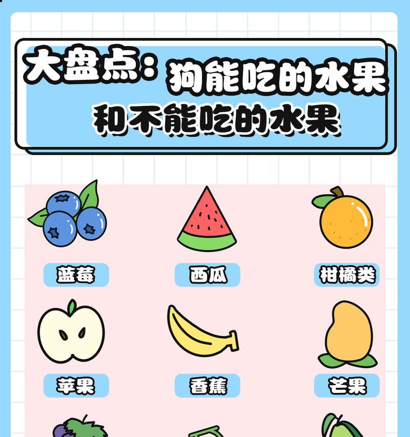 幼犬的健康成长与水果饮食（了解幼犬所需的水果饮食，促进健康成长）