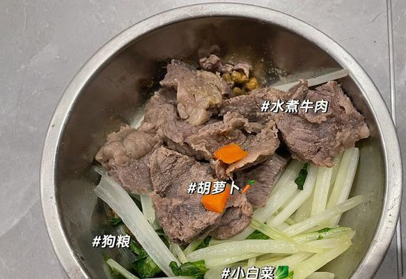 幼犬饮食乱吃怎么办（如何管理幼犬的饮食习惯）